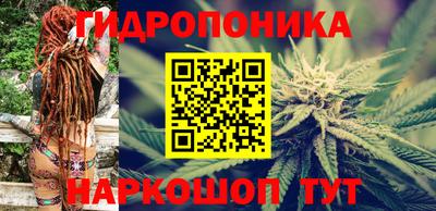 МДПВ Пенза