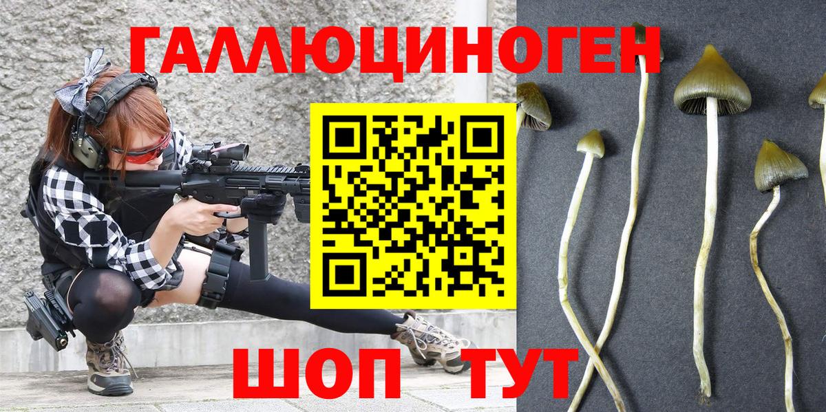 Полевской  Галлюциногенные грибы мухоморы  Вход с VPN 